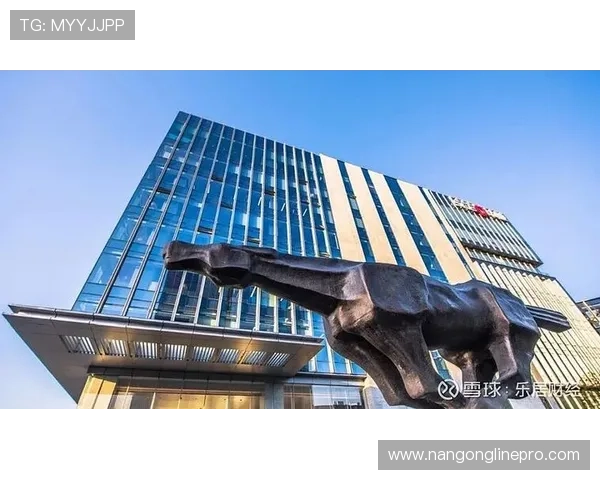 围绕OGCNice足球俱乐部发展历程与未来战略全面解析